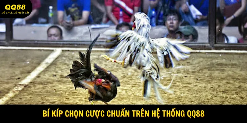 bi-kip-chon-cuoc-chuan-tren-he-thong-qq88