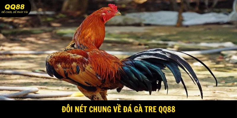 doi-net-chung-ve-da-ga-tre-qq88