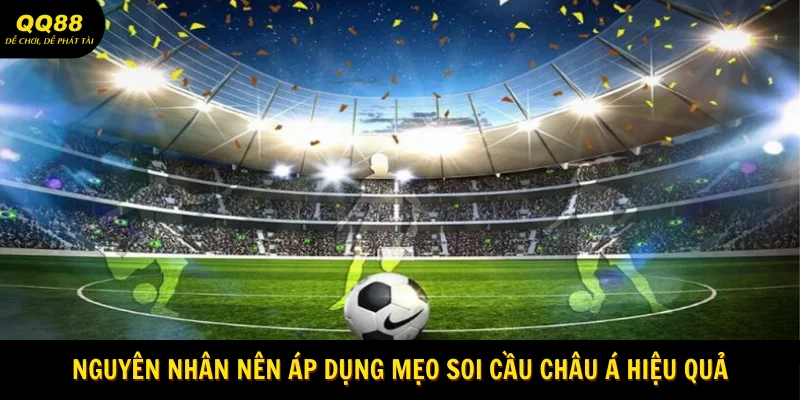 nguyen-nhan-nen-ap-dung-meo-soi-cau-chau-a-hieu-qua