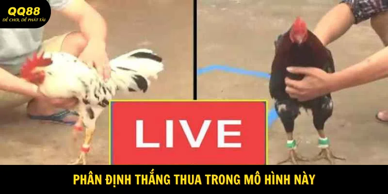 phan-dinh-thang-thua-trong-mo-hinh-nay
